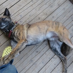 「マザコン(^^ )ルフト」サムネイル3