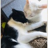 仲良しおとこぐみ