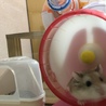 の写真