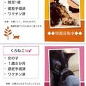 里親募集