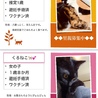 里親募集 サムネイル1
