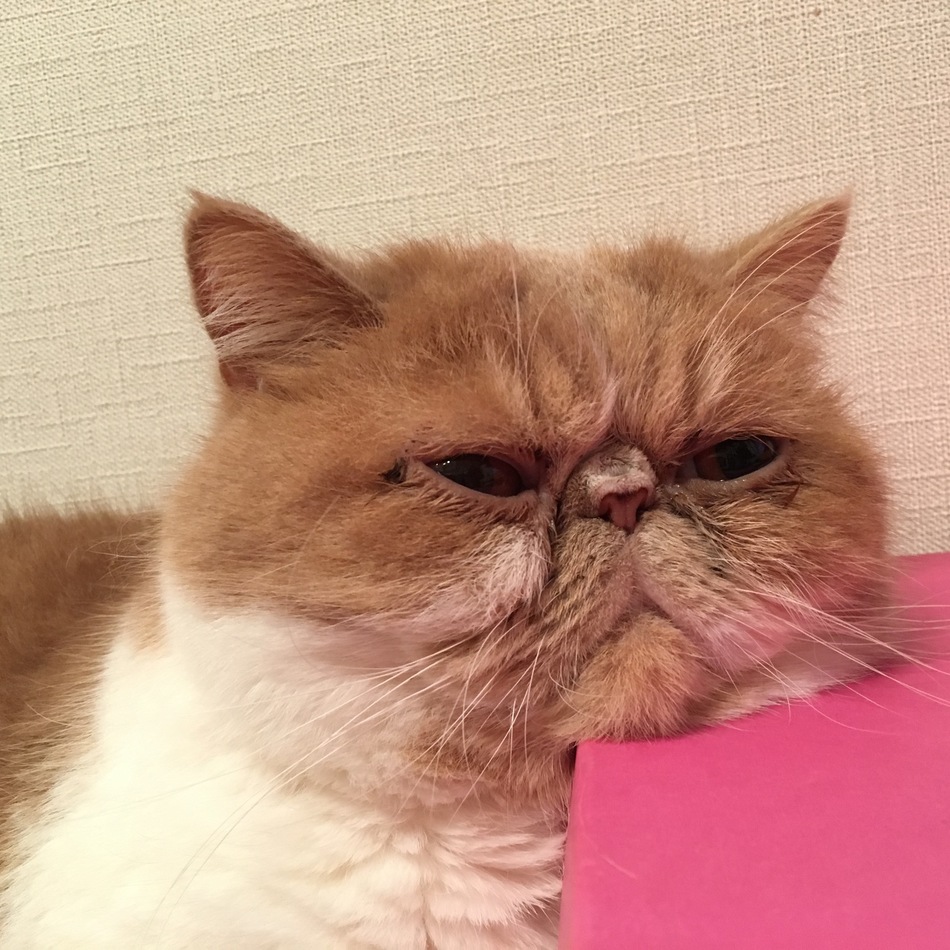 Mikeのカバー写真