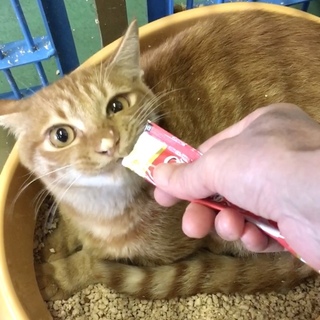 期限超過！！岩国健康福祉センター１３３