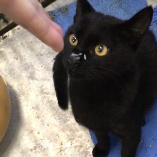 期限超過！！岩国健康福祉センター１３２