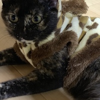 もか