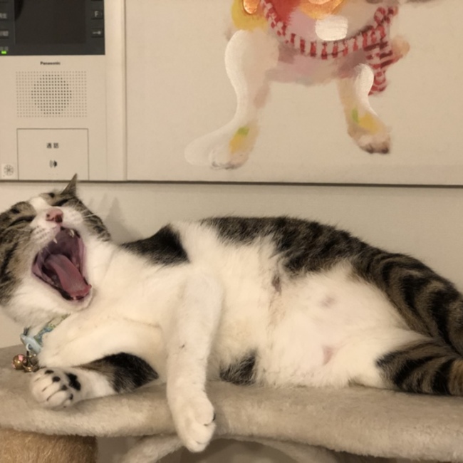あいあい2のカバー写真