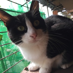 「私は怒ってないけど」サムネイル2