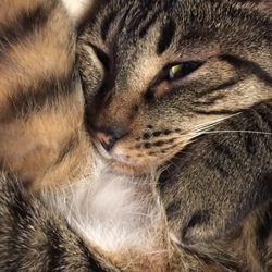 「私は怒ってないけど」サムネイル3