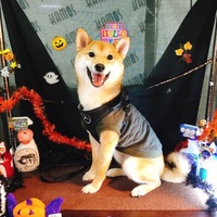 こきち