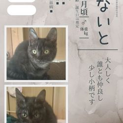 オートクフリマ写真での譲渡会 サムネイル2