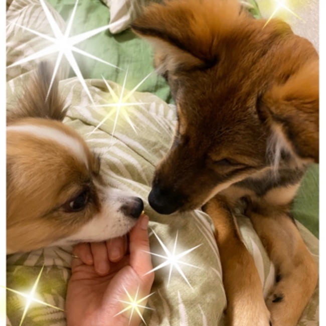 Ｋ家のかかのカバー写真