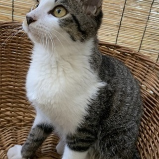 たくちゃん　　　５月生の男の子