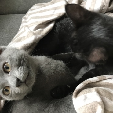 の写真