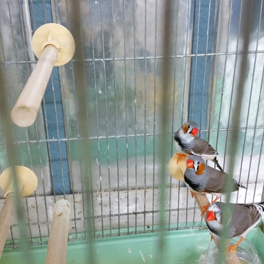 の写真