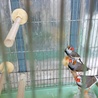 の写真