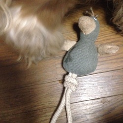 プリンスを購入したショップで買い物。