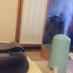 鼻洗浄  鼻うがい