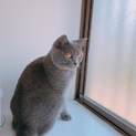 多頭飼いしてない方のみ