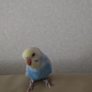 沢山の暖かいご応募ありがとうございました！