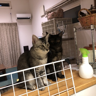の写真
