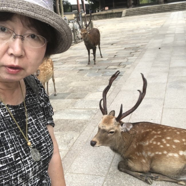ザギマウンテンクリスタルのカバー写真