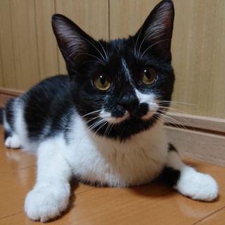 個性的な顔の人懐こい女の子！