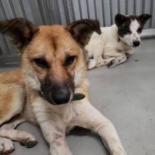 期限間近助けて！