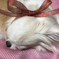 ２人とも元気です！^_^