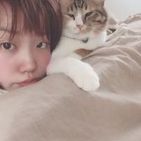 きなこ