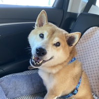 ふうま