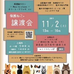 11.2藤井寺保護猫譲渡会