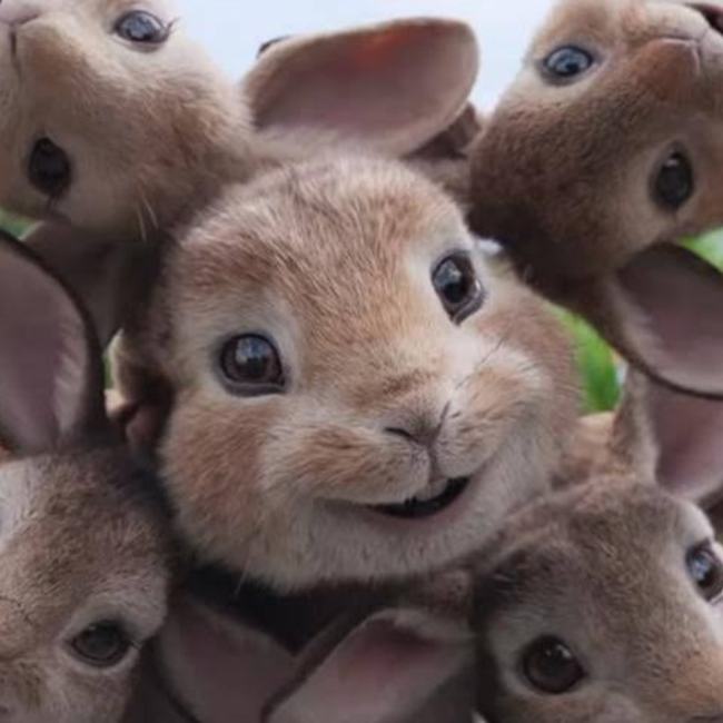 マッスルマサルのカバー写真