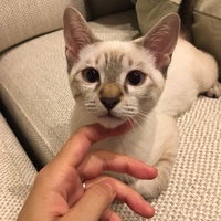 オリバ