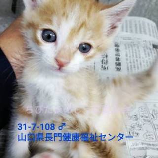 まだ赤ちゃん♡一人ぼっちで頑張ってます！！