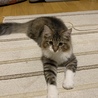の写真