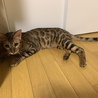 の写真