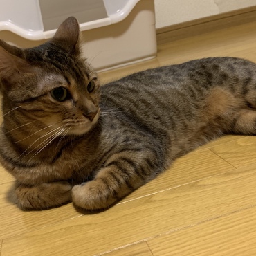 nicoの写真
