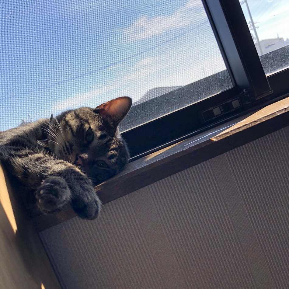 ふくのカバー写真