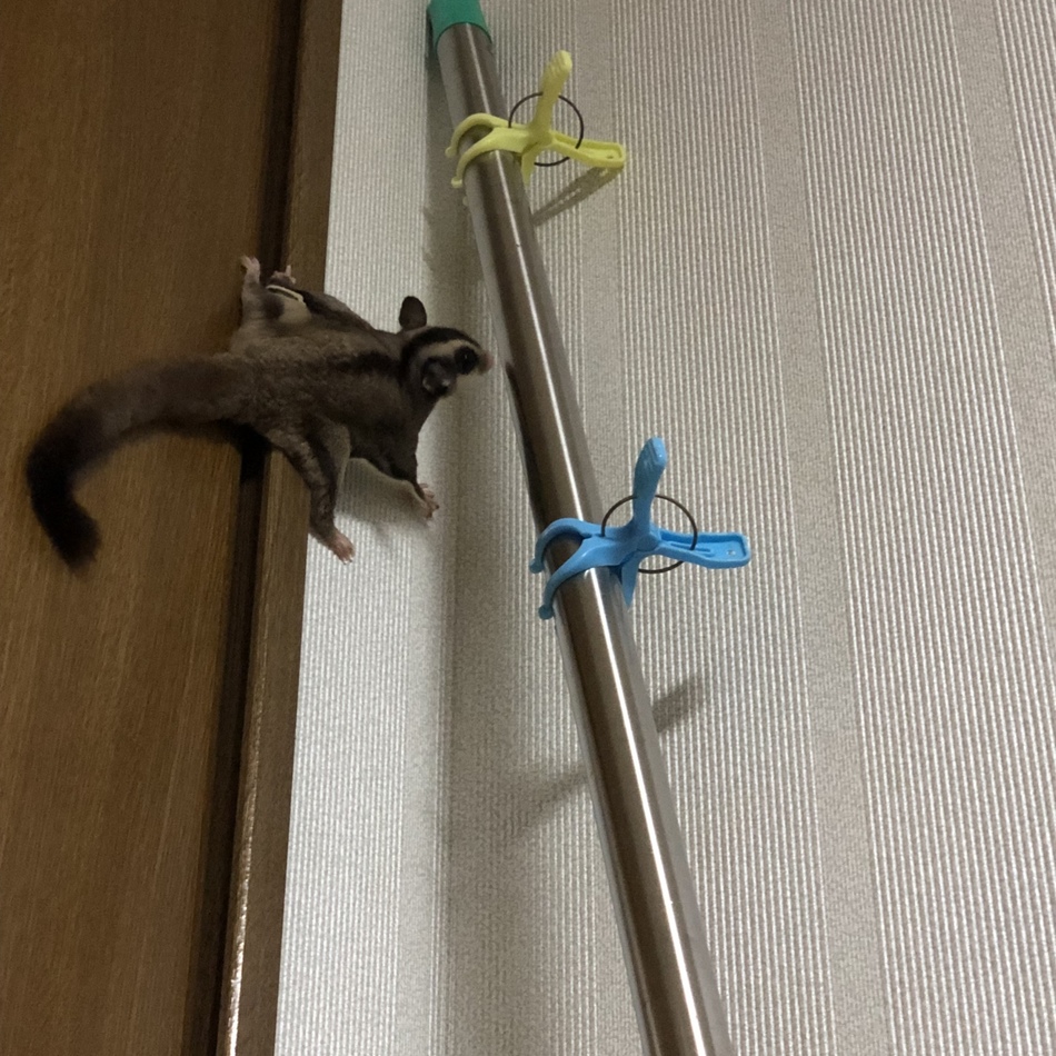 どんのカバー写真