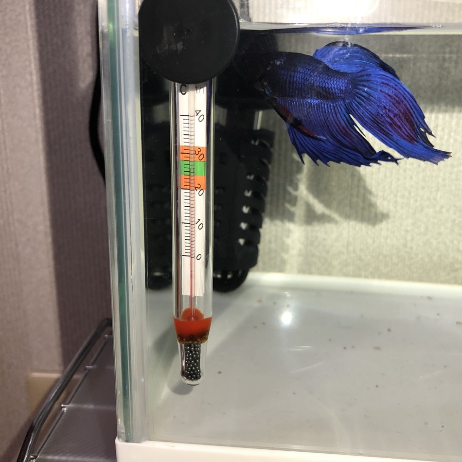 ひのまるのカバー写真