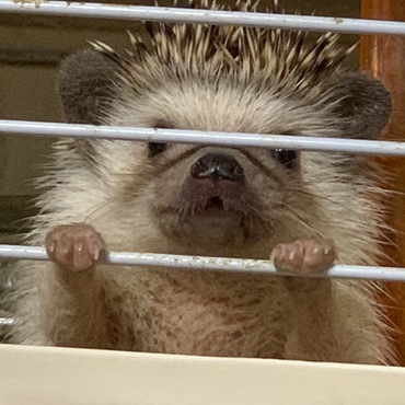 の写真