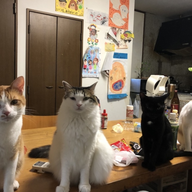 boardnoのカバー写真