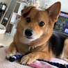 の写真