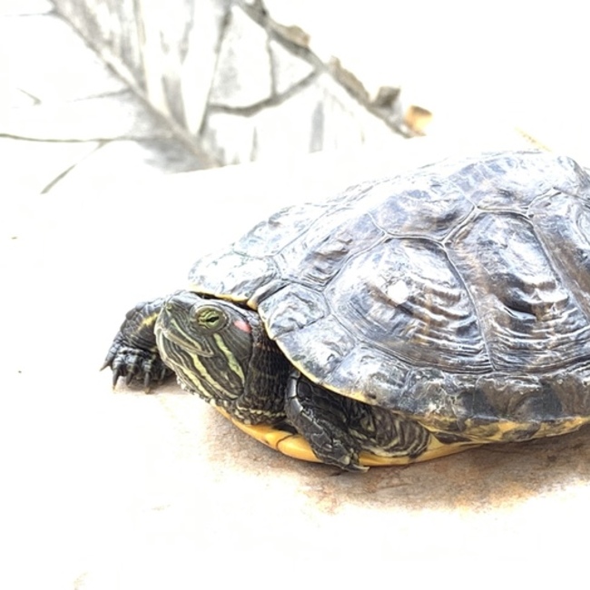GKatsのカバー写真