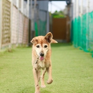 熟女好き集まれ！性格◎ピカイチのお婆ちゃん