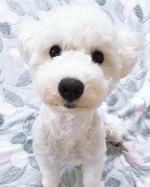 ソラ