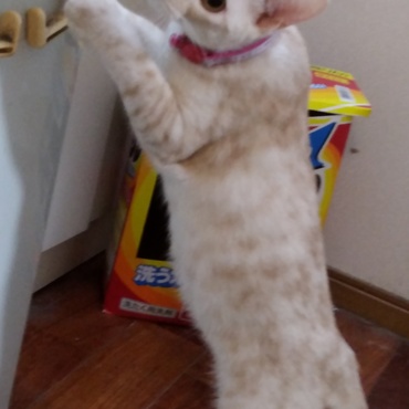 大きくなりましたね…