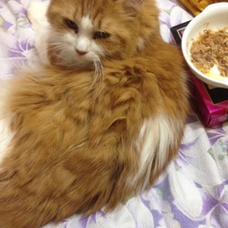 姫に昨晩から湯たんぽを入れ始めました。