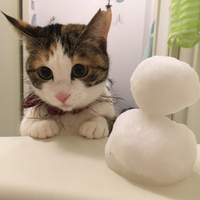 満愛