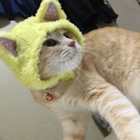 若之助